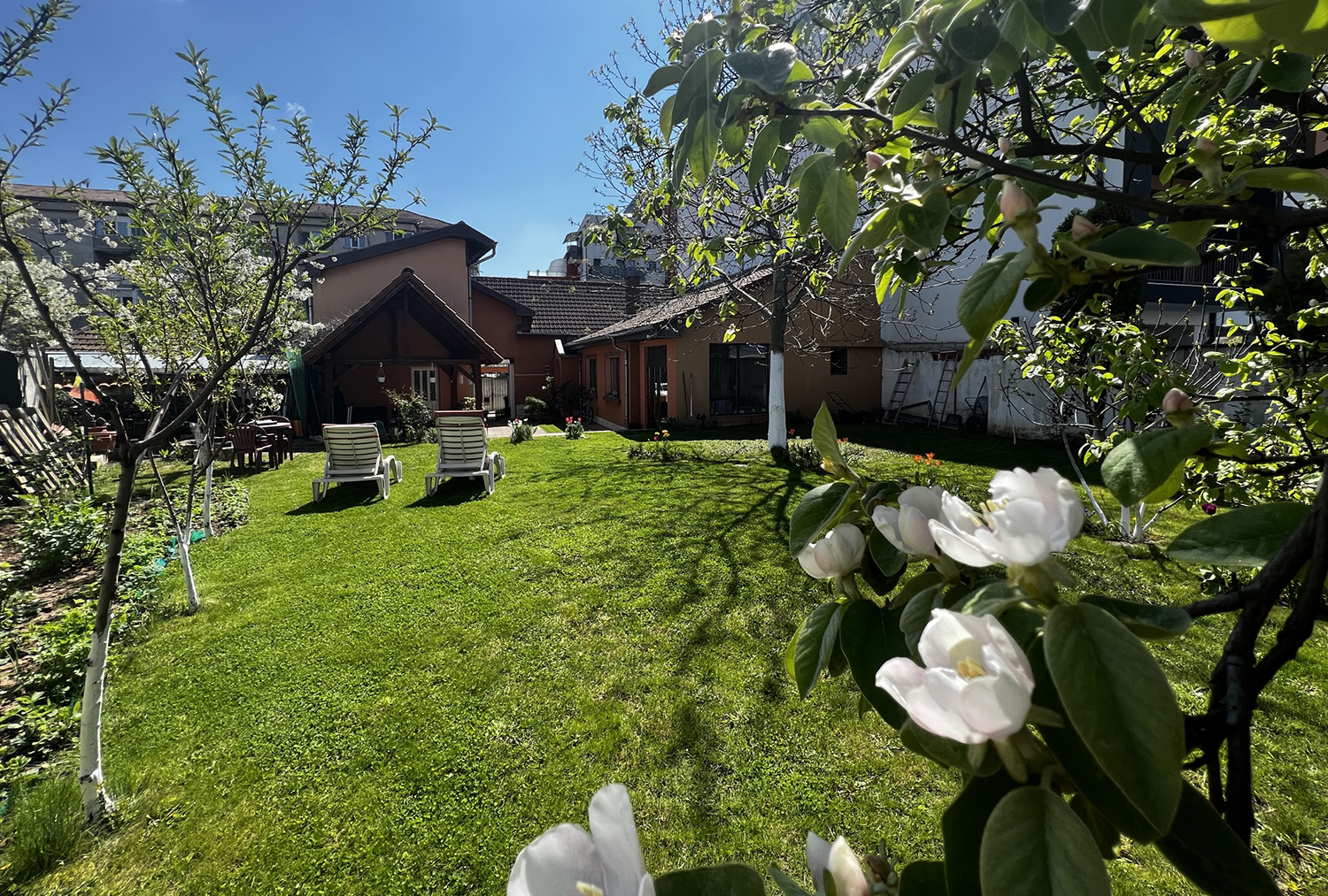 2_Casa pentru 2 familii - Nufarul - IMOBIHOR 