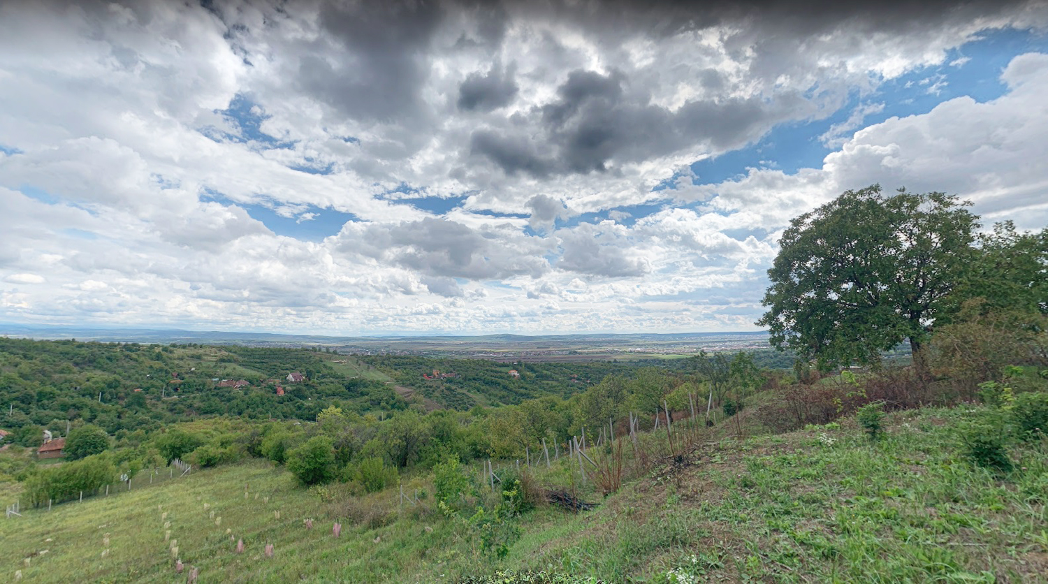 3_3 Ha Teren intravilan in zona străzii Ghe. Doja - 30€/mp