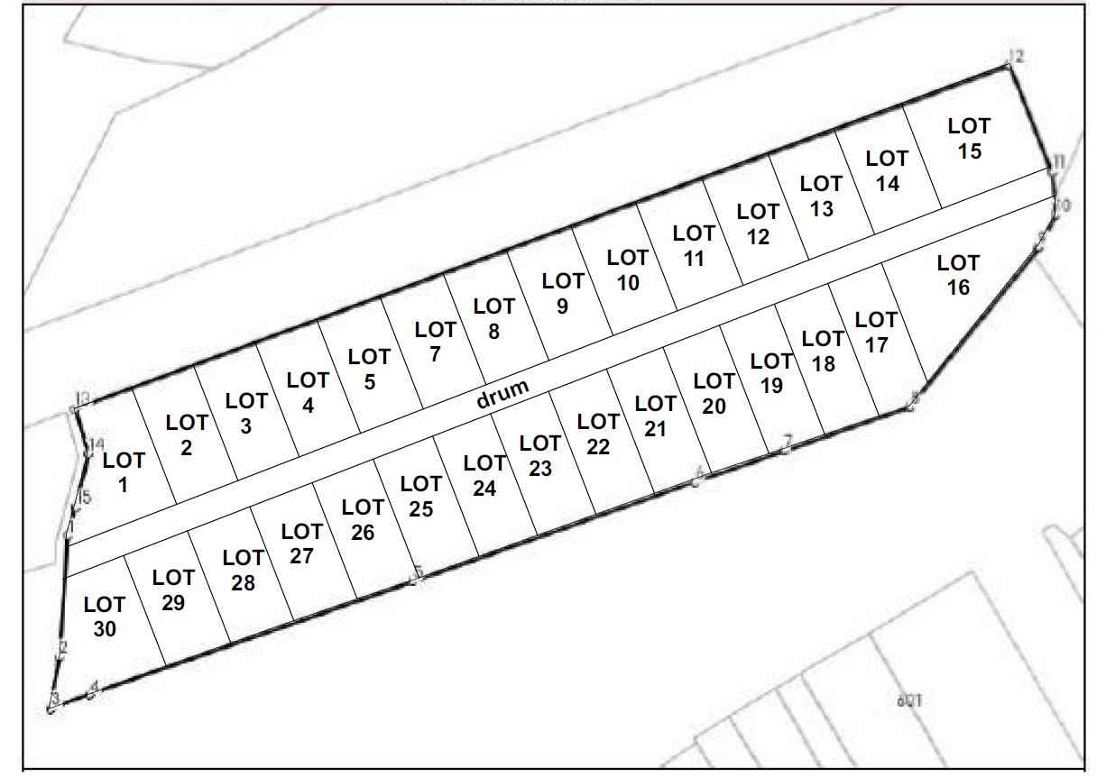 4_3 Ha Teren intravilan in zona străzii Ghe. Doja - 30€/mp