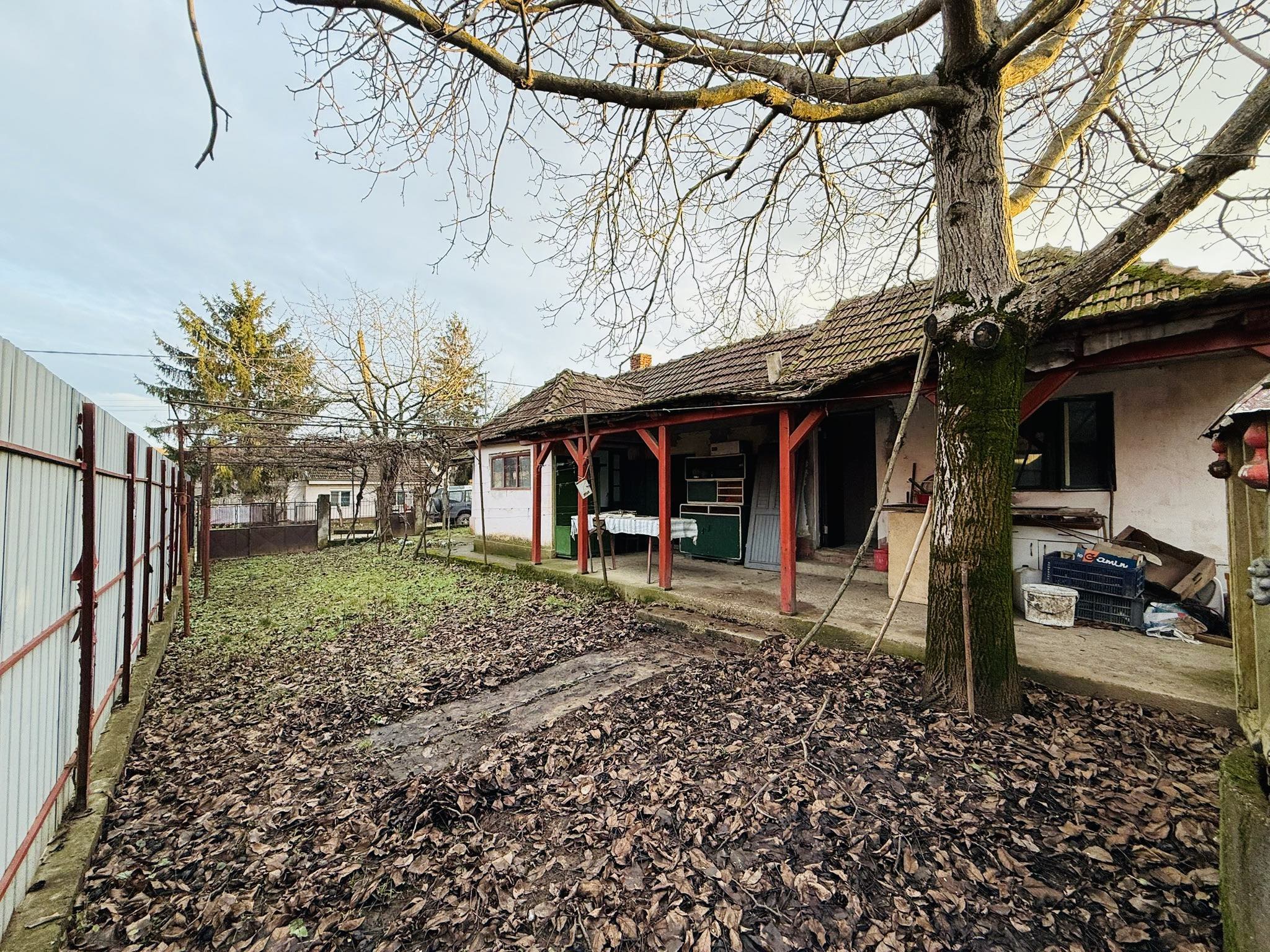 2_DE VÂNZARE - Casă țărănească - Paleu - 69 900 €