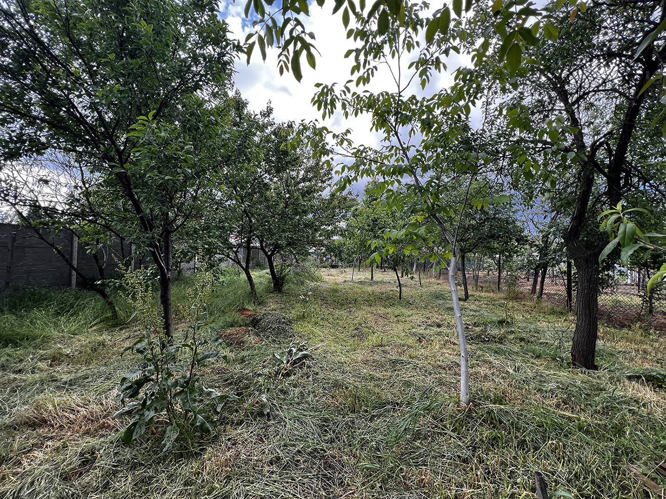 8_Loc de casa / Teren intravilan cu toate utilitatile - Episcopia Bihor - 72.900 €