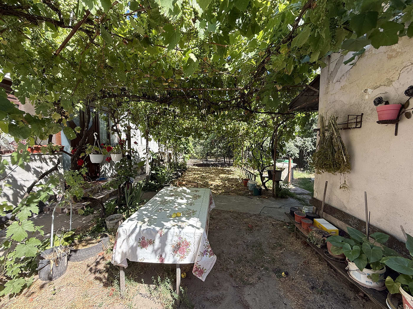 4_Casa veche cu teren de 2500 mp. - Biharia - 72.000 €