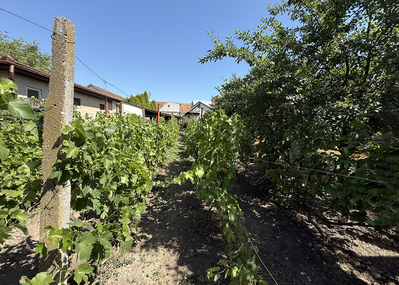 3_Casa solida in inima orasului Salonta - 119.900 €