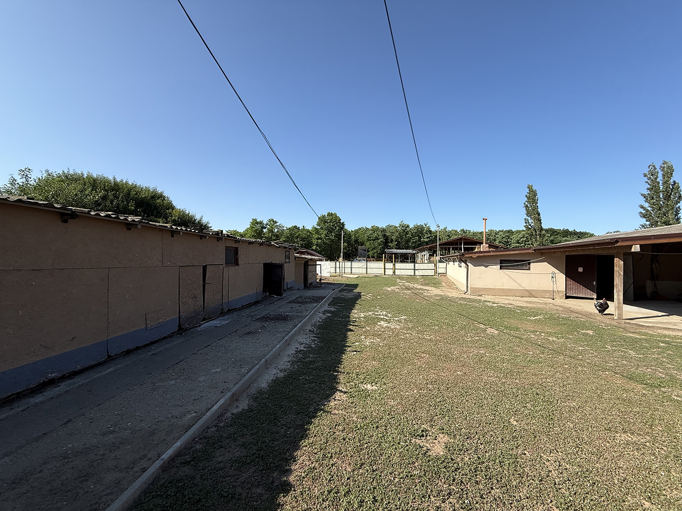 8_Catun / Ferma autorizata 