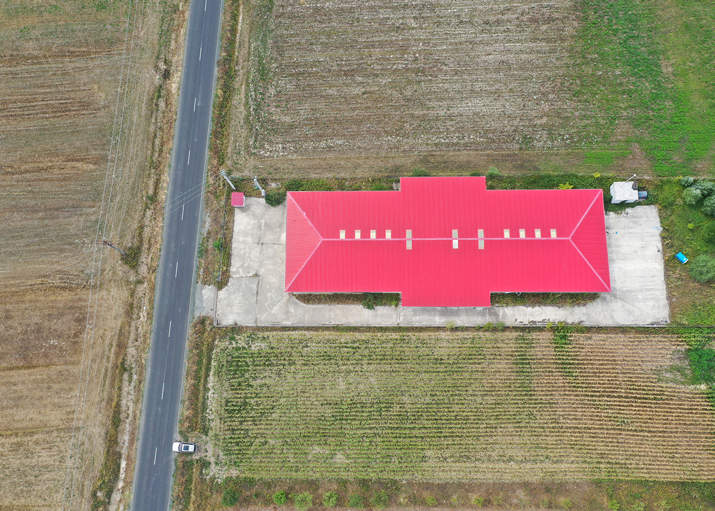 3_Hala de productie ciuperci comestibile / de depozitare - Dezna - AR