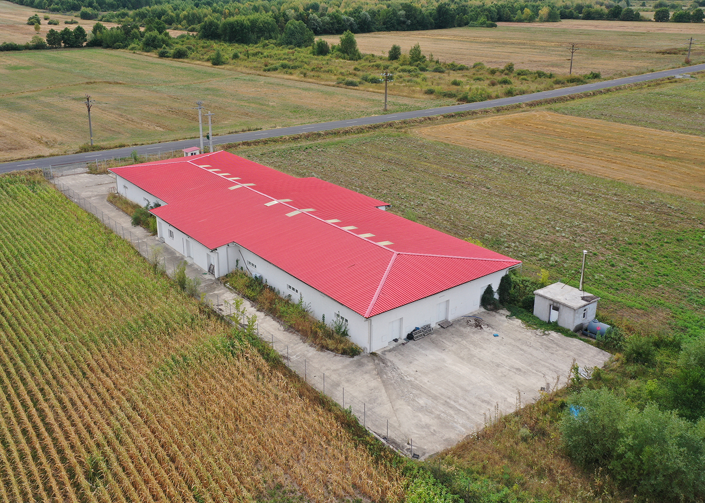 4_Hala de productie ciuperci comestibile / de depozitare - Dezna - AR