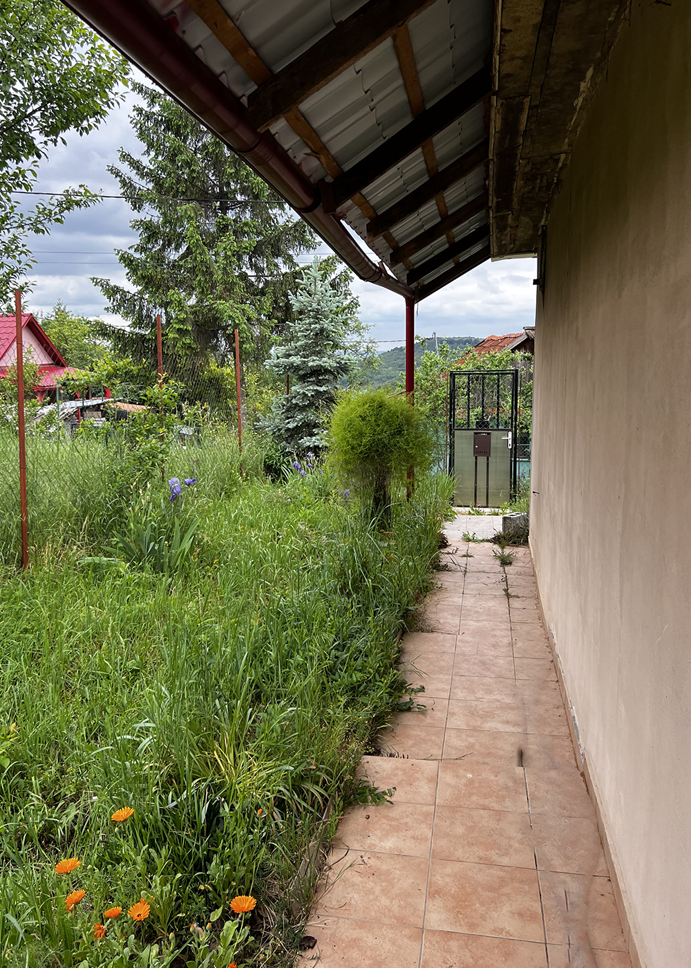 7_Casă cu teren generos de 2.877 mp langa padure.