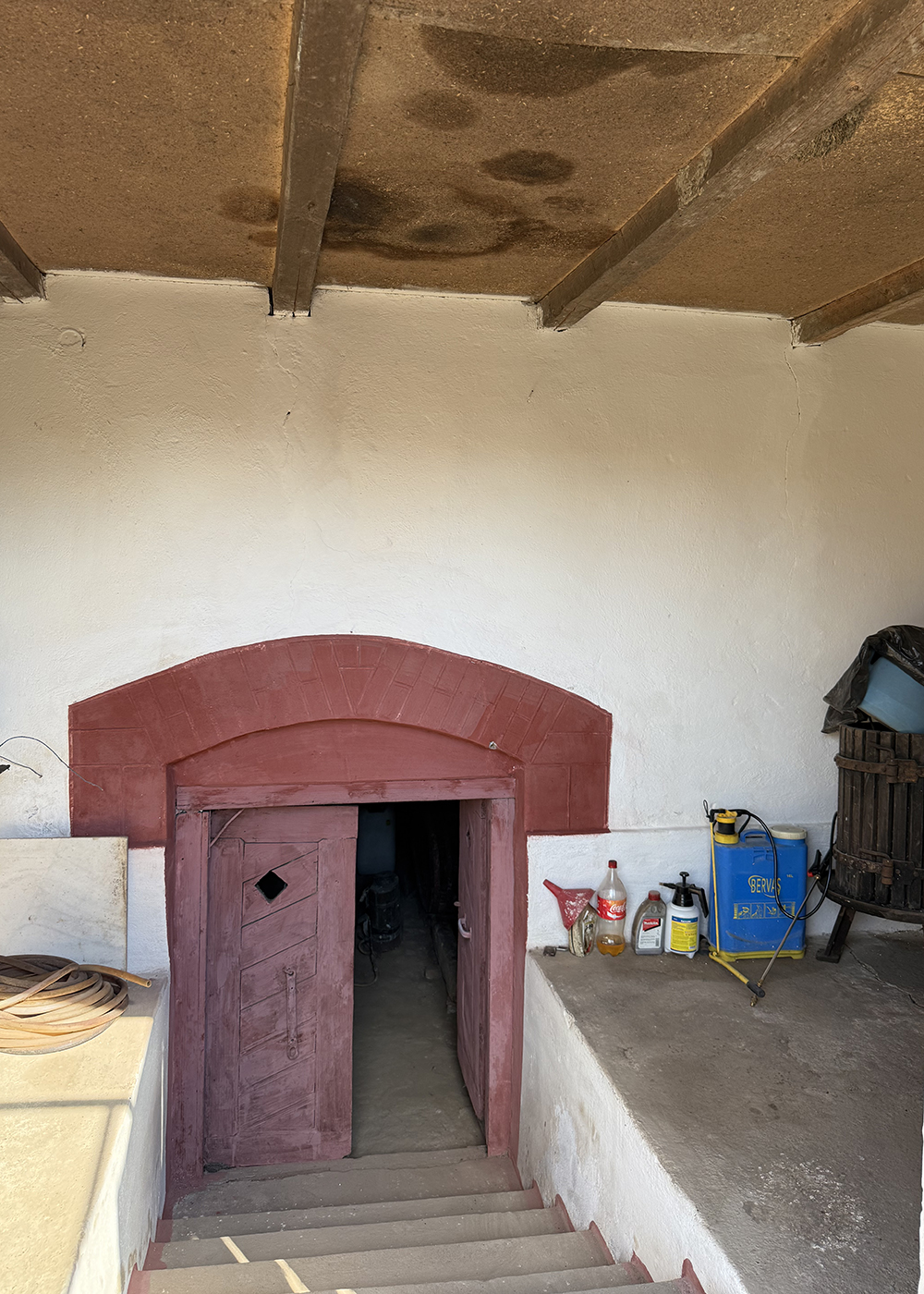 11_Casa cu teren 8000 mp. - Cetariu - 133.000 €