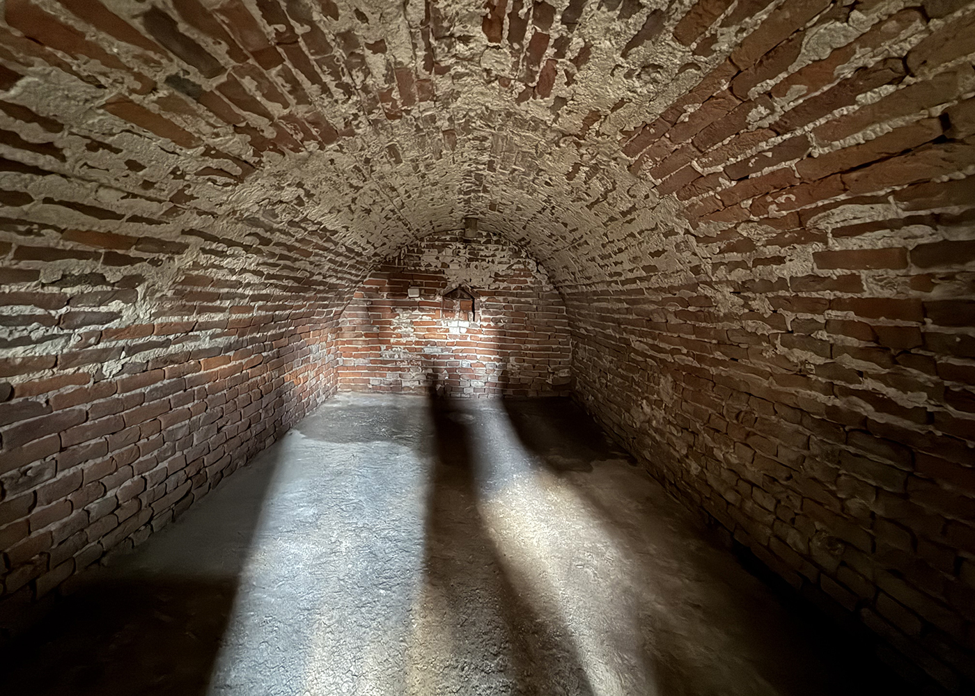 12_Casa cu teren 8000 mp. - Cetariu - 133.000 €