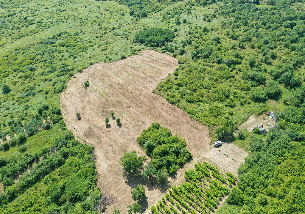 3_8000 mp. Teren - Strada Sofiei / Str. Piatra Craiului.